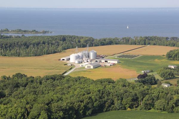 Harborview Farms